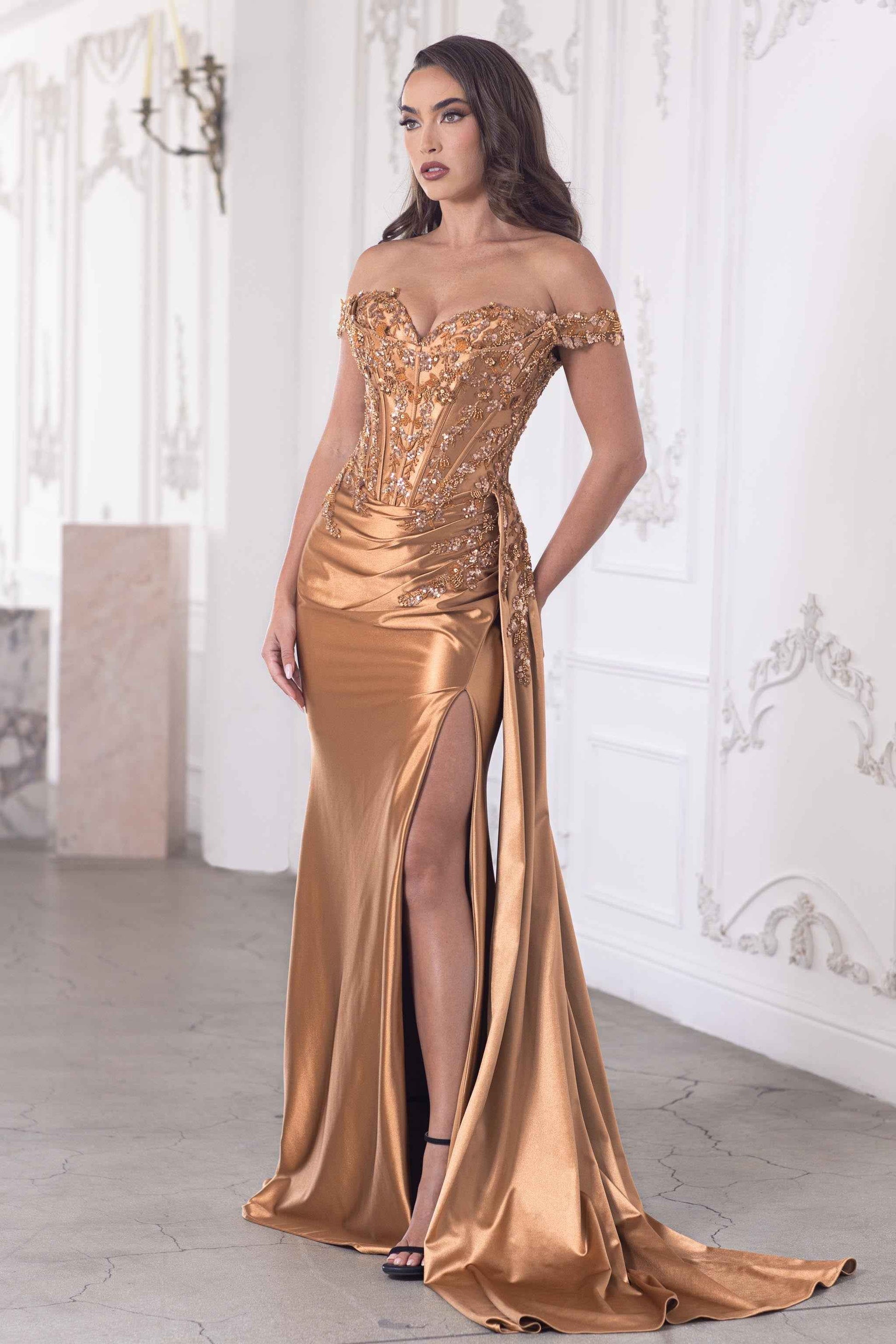 Off Shoulder Corset Long Dress